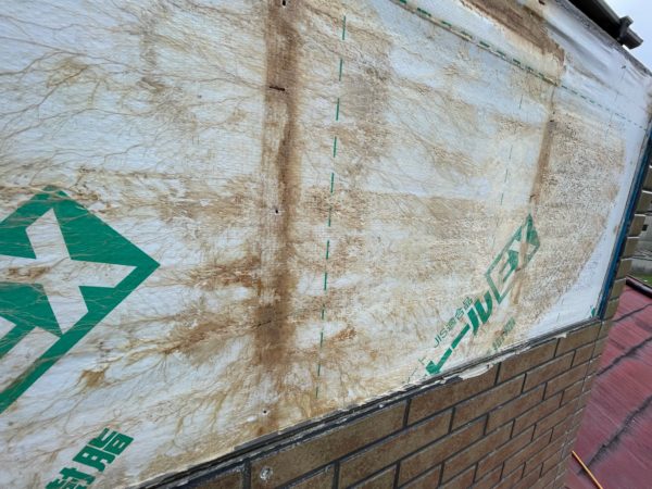 透湿シートにびっしりとカビ